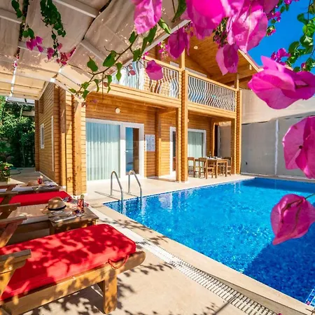 Villa Eco Yasemin *
